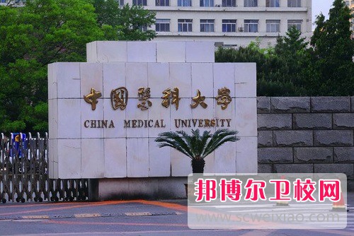 中國醫(yī)科大學臨床醫(yī)藥學院2022年是幾本