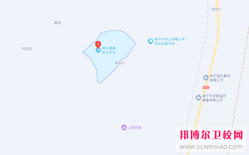 湖北健康職業(yè)學(xué)院地址在哪里，哪個(gè)地區(qū)，哪個(gè)城市?