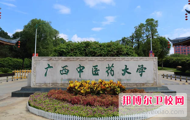 2023廣西中醫(yī)藥大學(xué)有哪些專業(yè) 廣西中醫(yī)藥大學(xué)開(kāi)設(shè)的專業(yè)一覽表