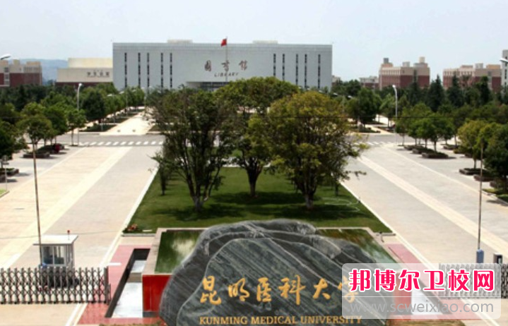 2023昆明醫(yī)科大學(xué)有哪些專業(yè) 昆明醫(yī)科大學(xué)開設(shè)的專業(yè)一覽表