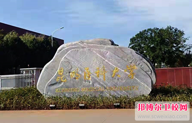 云南2023年哪些大學有護理學校大專